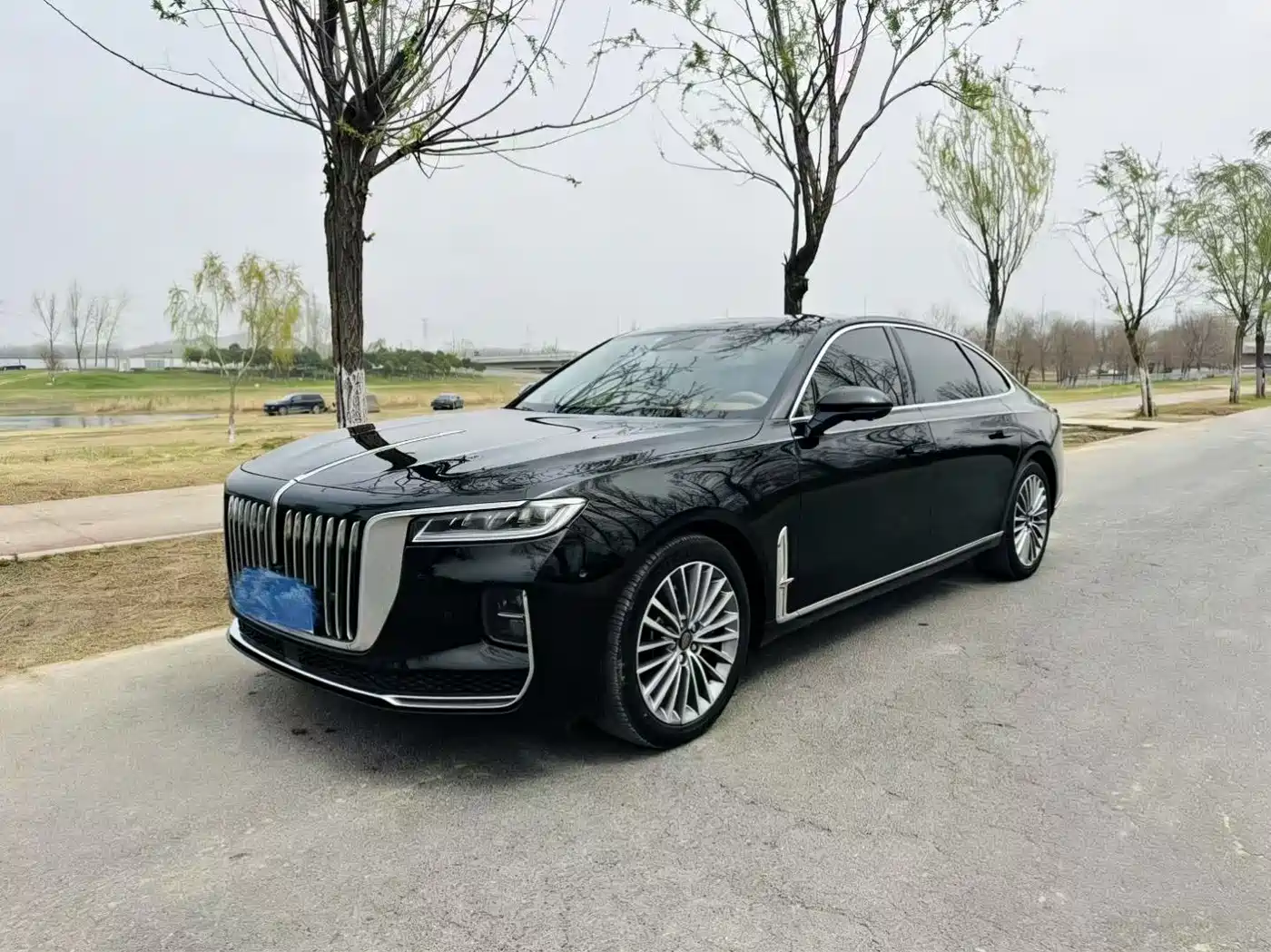 Hongqi HONGQI H9