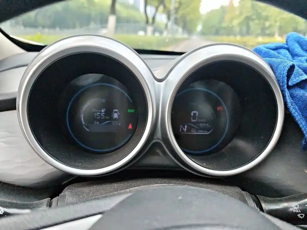 Ora Black Cat 2022 2022 301km Cute Pet Edition (LFP)