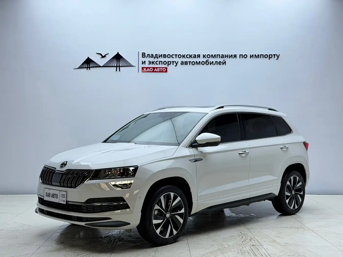 SKODA KROK