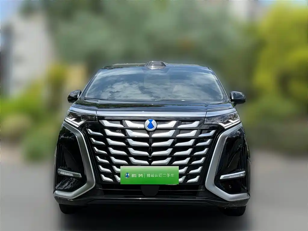 Denza D9 2025 DM-i Smart Drive Edition 1020 AWD Premium фото 2