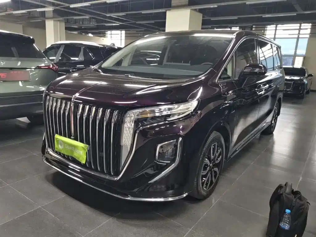 Hongqi HQ9 2023 2.0T Smart Connect Flag Smooth Edition