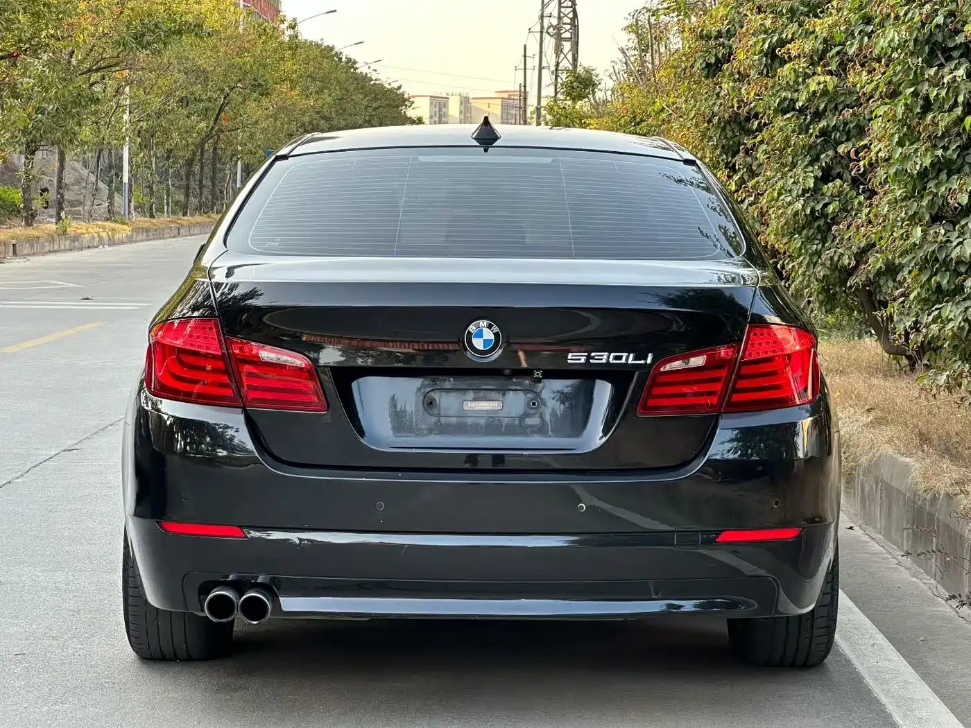 BMW 5 Series 2013 525Li Luxury фото 5