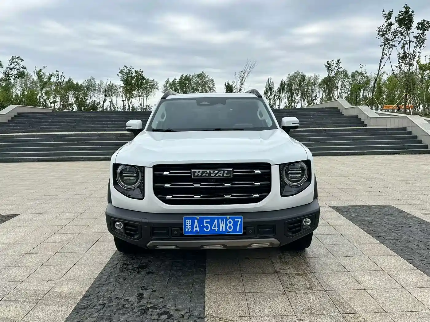 Haval Dargo 2021 2021 1.5T DCT 2WD Border Collie - Wangcai Edition