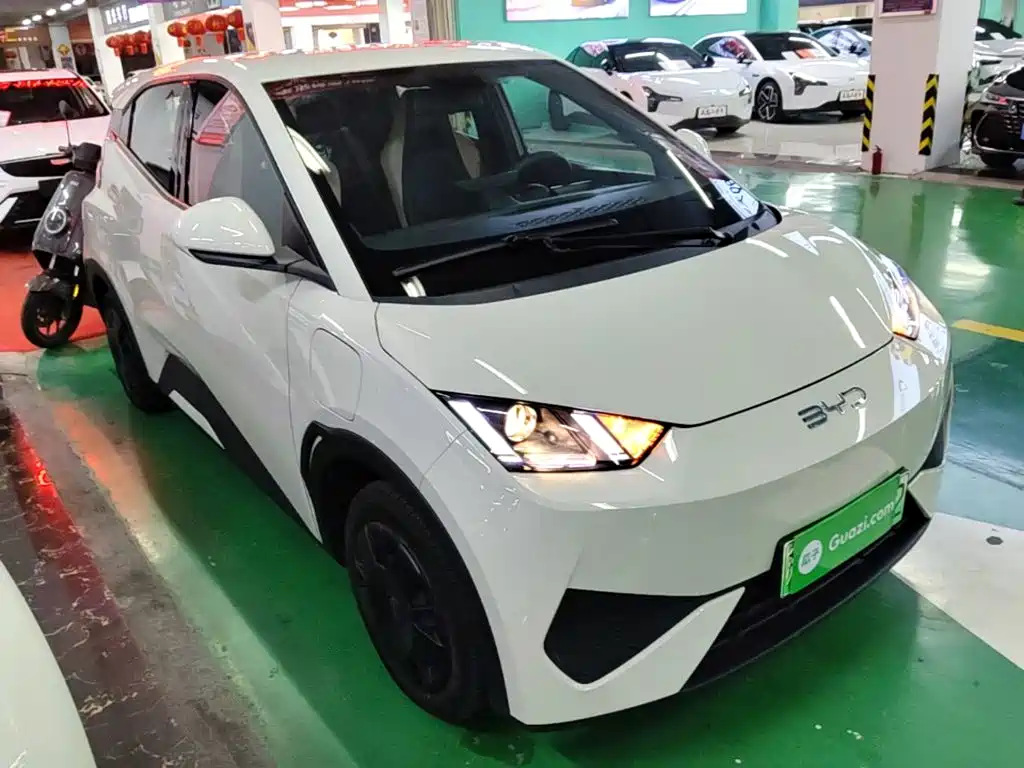 BYD Seagull 2026 2025 Smart Drive Edition 305km Vitality Version