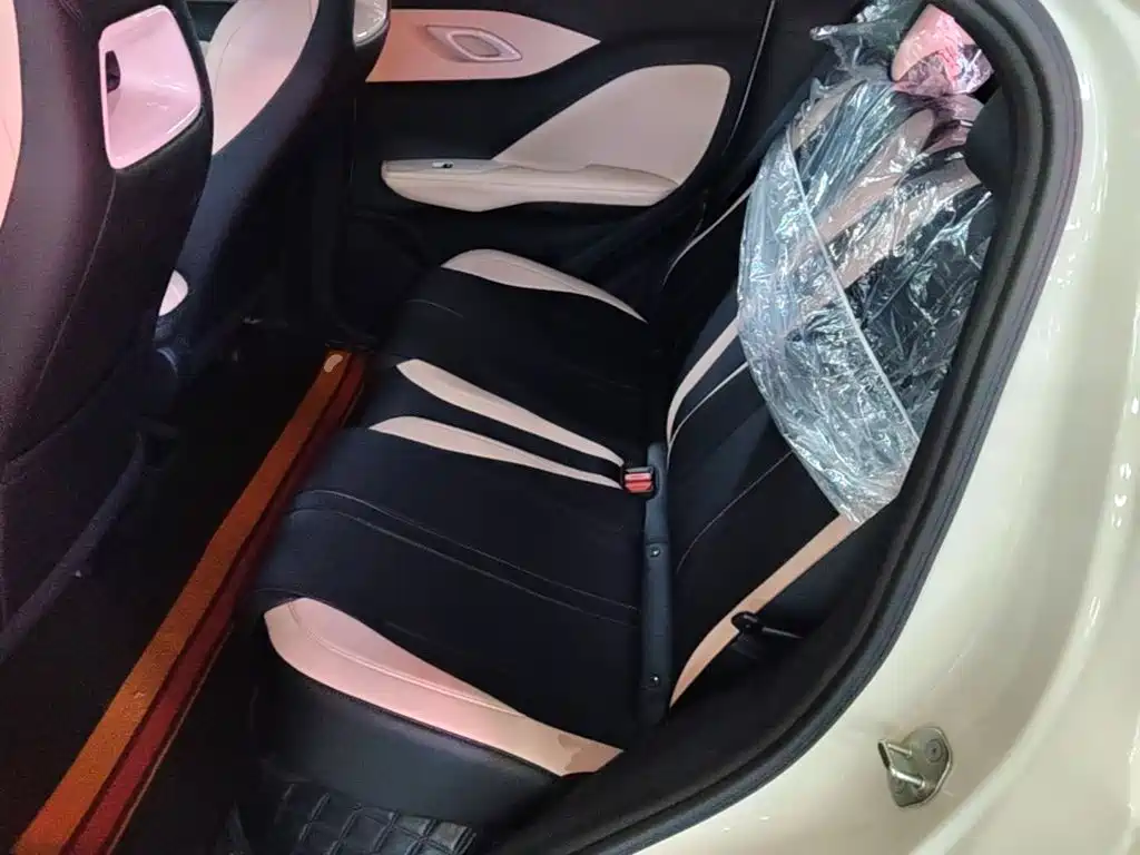 BYD Seagull 2026 2025 Smart Drive Edition 305km Vitality Version
