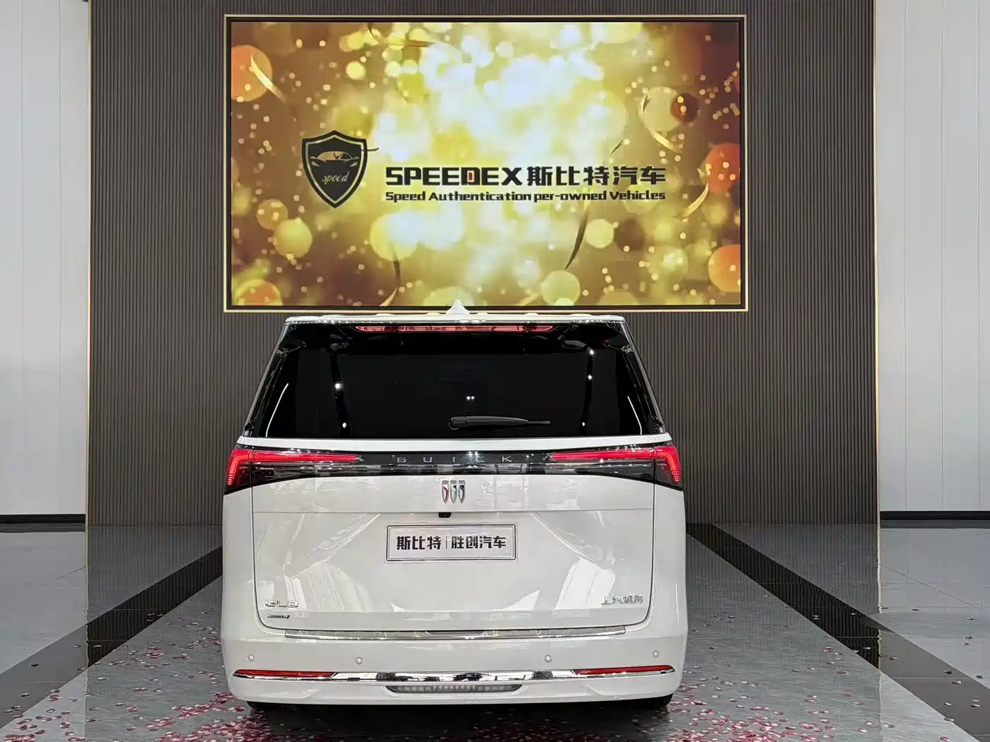 BUICK GL8 NEW ENERGY