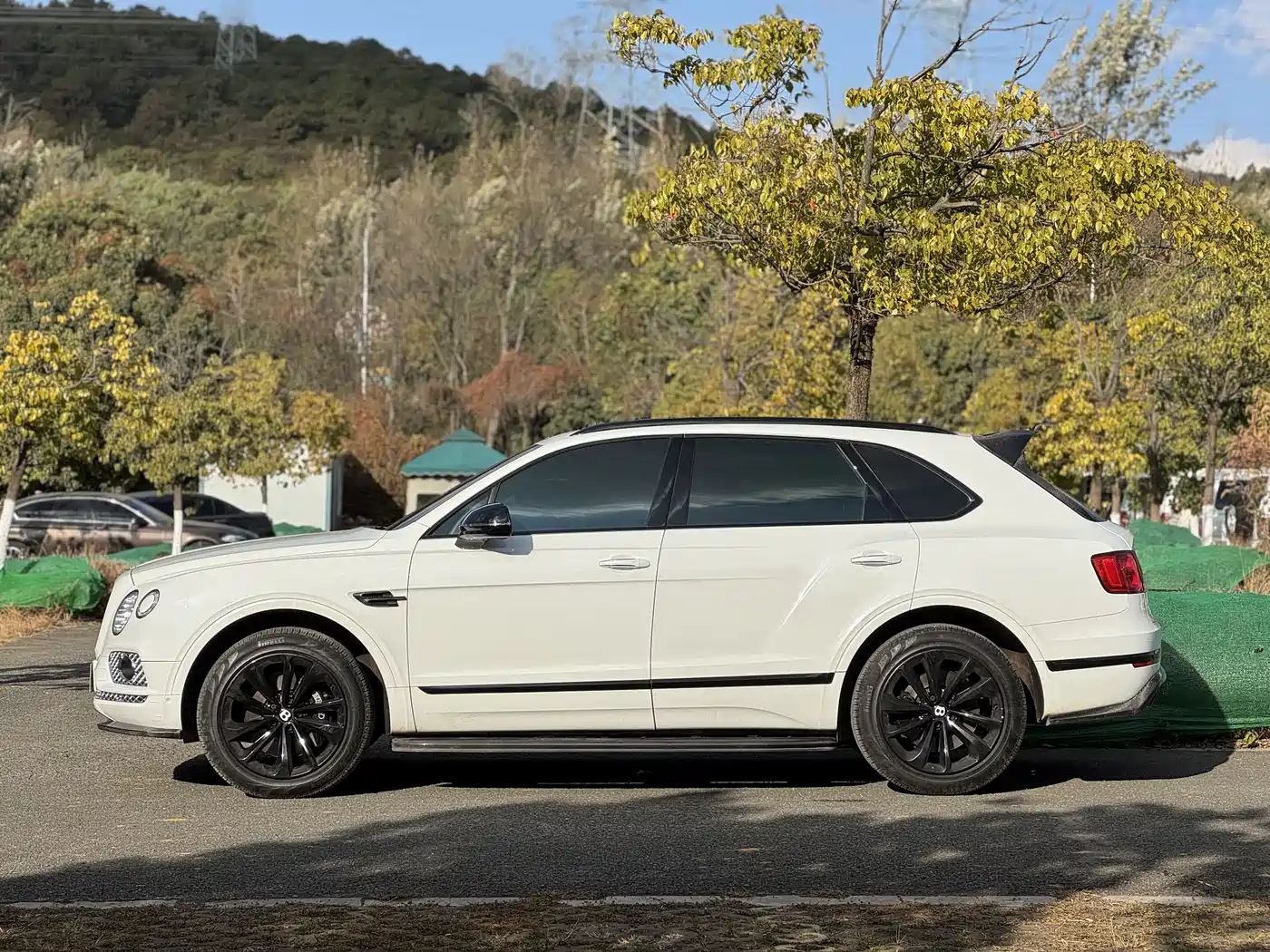 Bentley Bentayga 2016 2016 6.0T Standard Edition