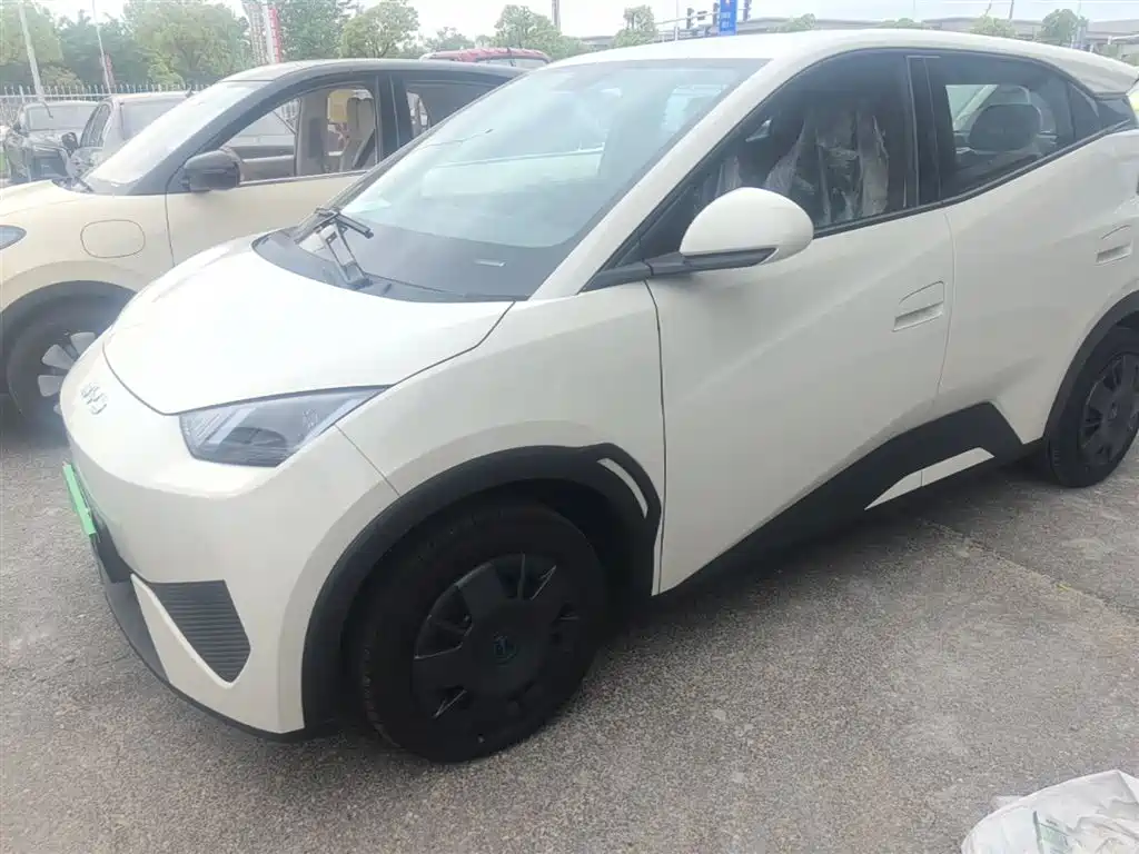 BYD Seagull 2025 Smart Drive Edition 305km Vitality Version фото 2
