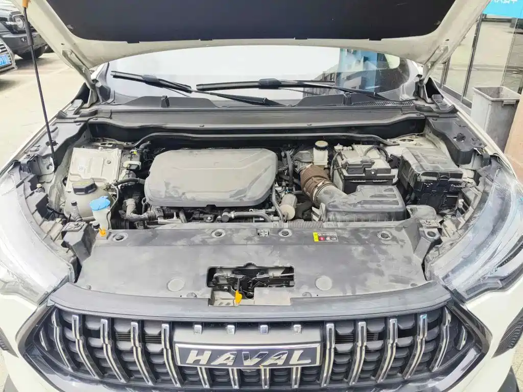Haval Chitu 2023 2023 1.5T Dynamic