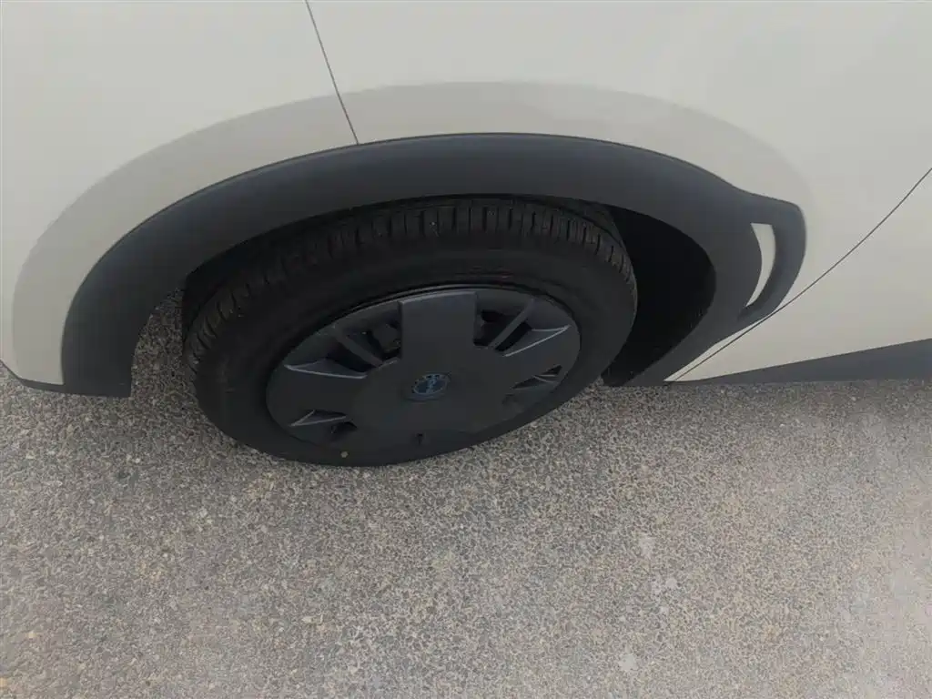 BYD Seagull 2025 Smart Drive Edition 305km Vitality Version фото 23
