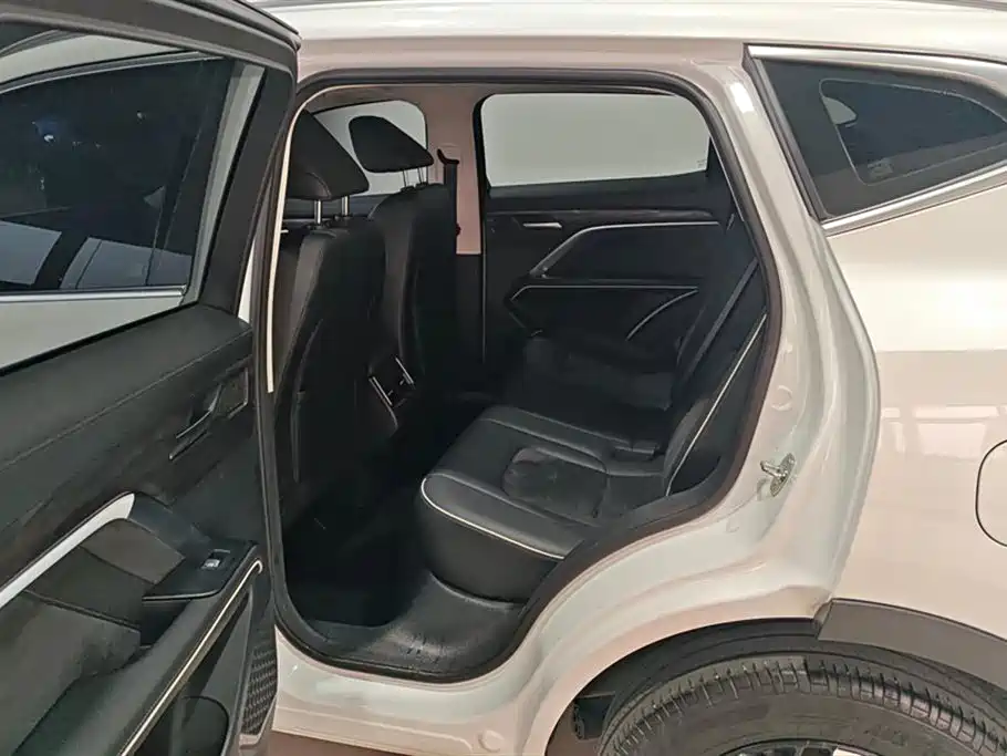Haval H6 2023 National Trend Edition 1.5T Automatic Urban фото 11