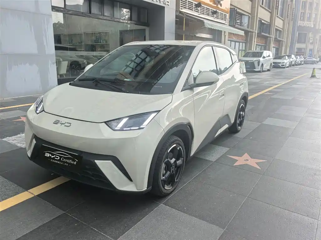 BYD Seagull 2024 Glory Edition 405km Soaring Edition