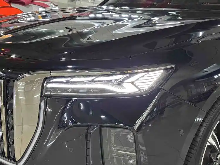Hongqi H9 2024 2.0T Qi Chang Private Fashion Edition фото 3