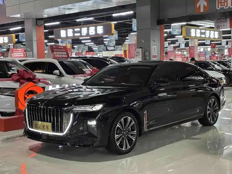 Hongqi H9 2024 2.0T Qi Chang Private Fashion Edition
