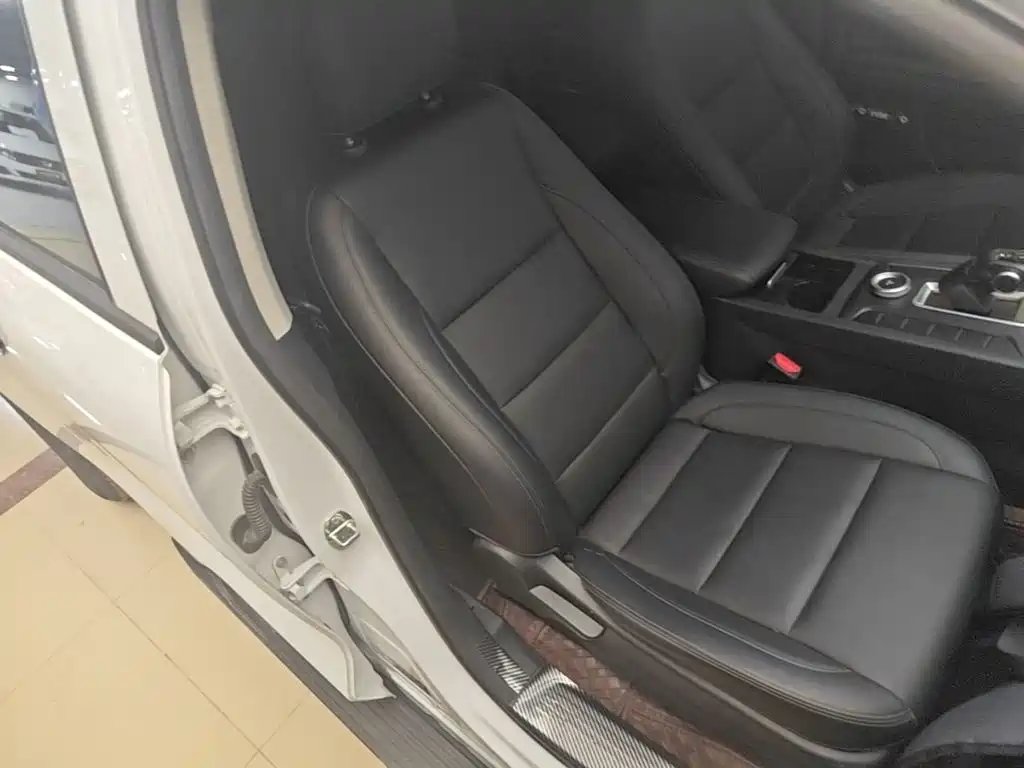 Great Wall Pao 2025 2024 Model 2.4T Commercial Version Automatic Diesel 4WD Elite Type