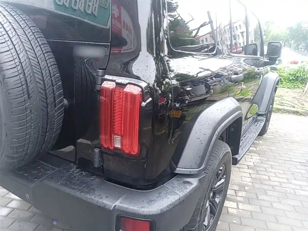 Tank 300 2023 Off-Road Edition 2.0T Conqueror фото 8
