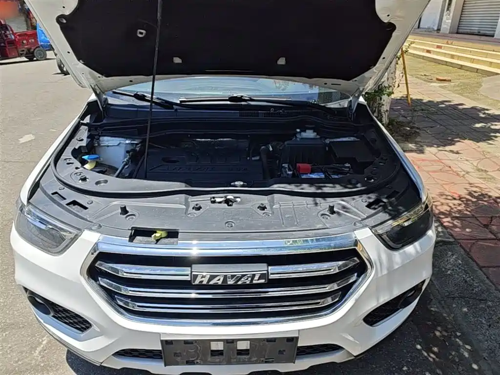 Haval H6 2019 Sport 1.5T Automatic 2WD Elite (China VI) фото 20