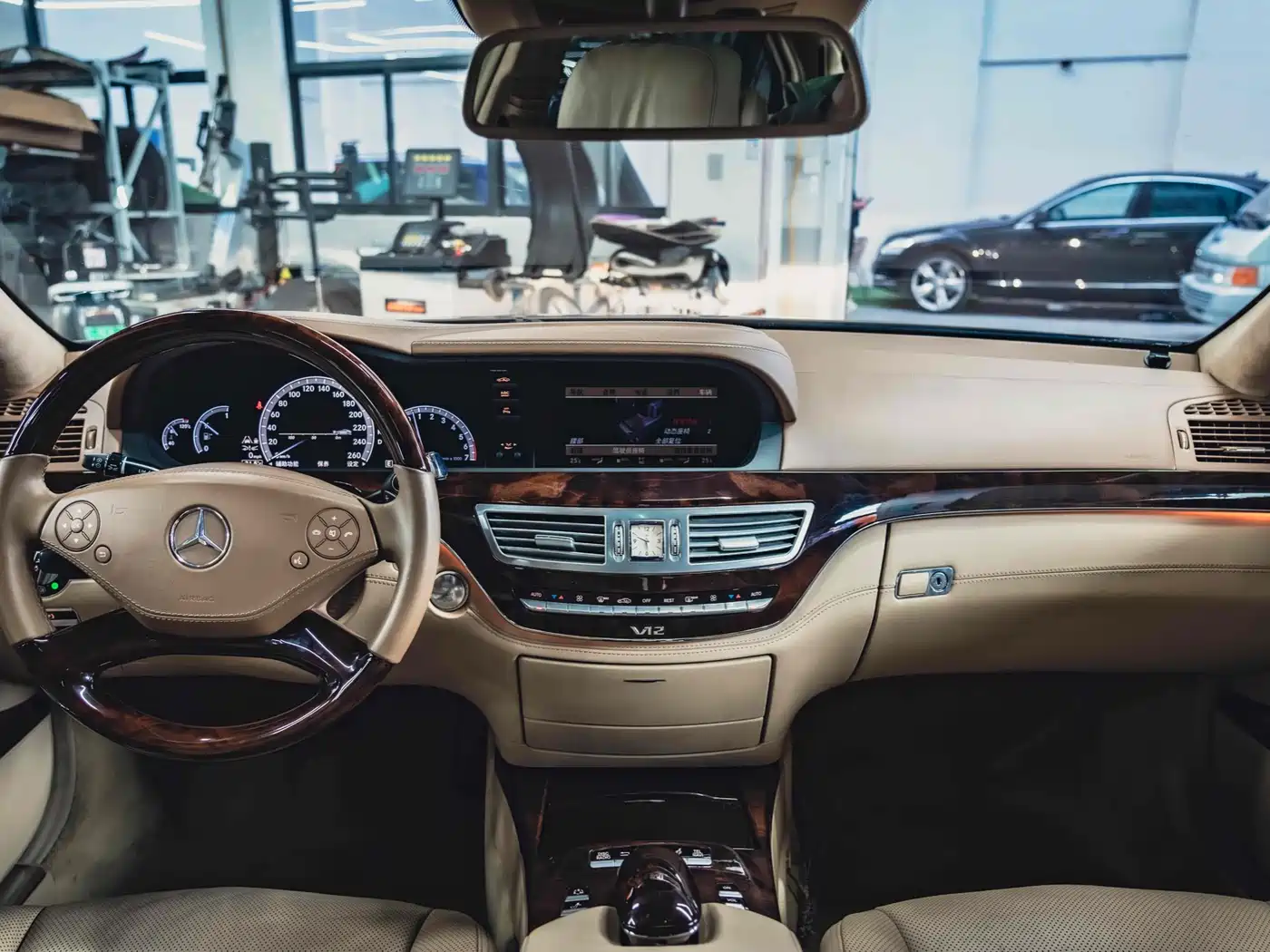 Mercedes-Benz S-Class 2010 S 600 L фото 12