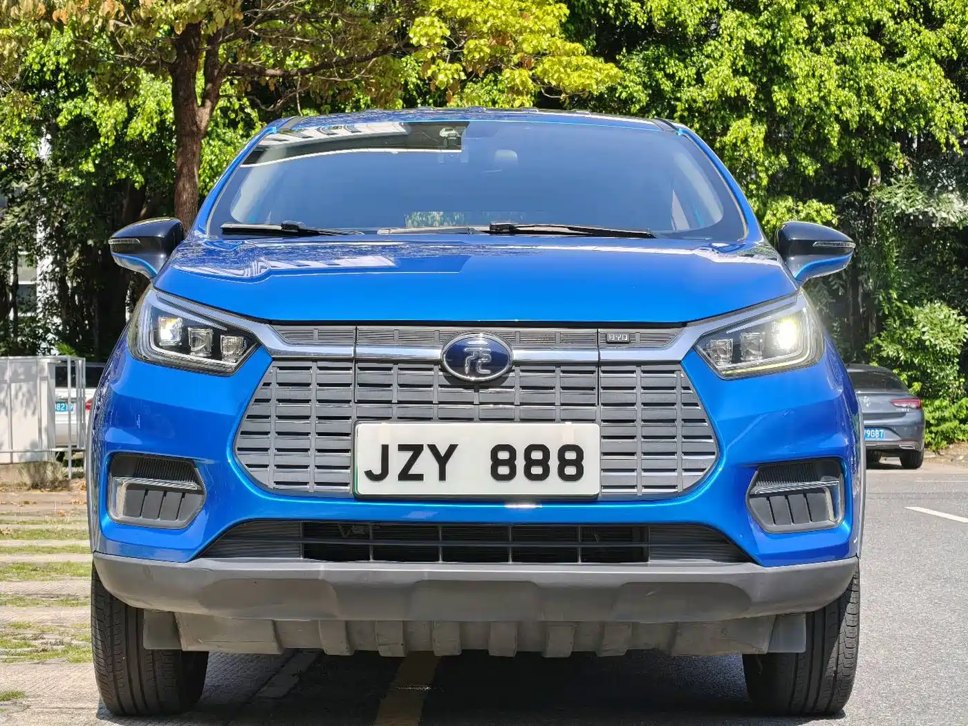 BYD Yuan New Energy 2019 EV535 Smart Connected Trend Leader Type фото 2