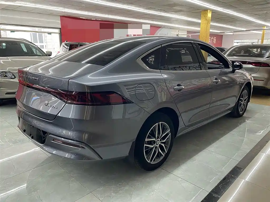 BYD Qin PLUS 2023 Champion Edition DM-i 120KM Leading Type фото 4