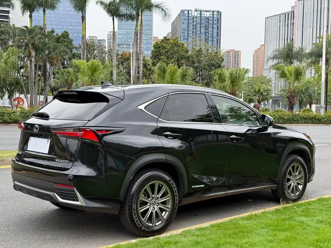 Lexus NX 2020 300h FWD F Sport China VI фото 6