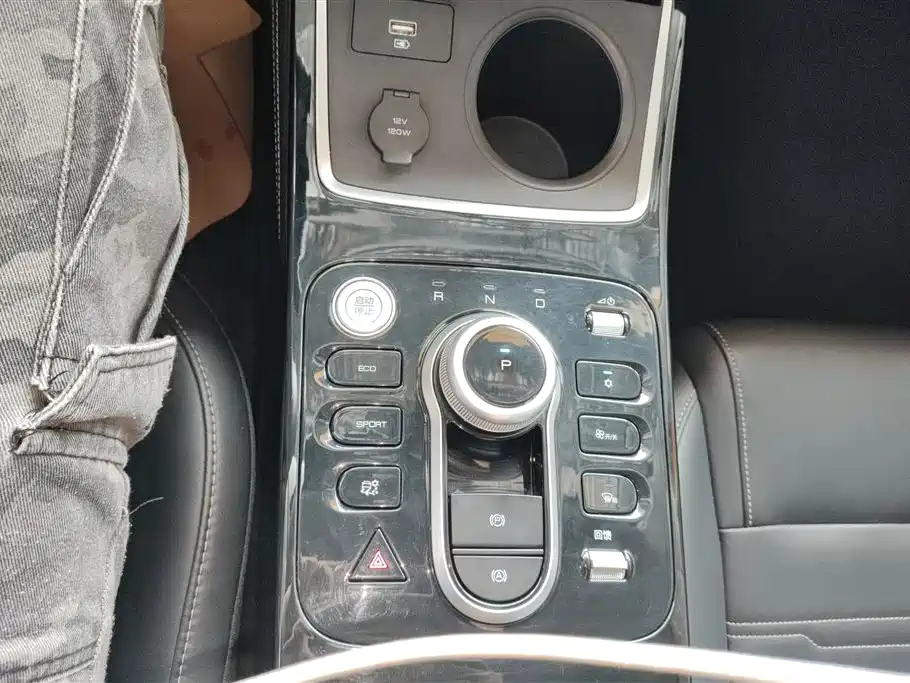 BYD Qin New Energy 2021 Leading Comfort Edition фото 16