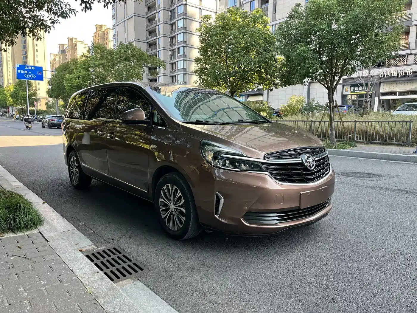 Buick GL8 2021 Land Business Class 652T Luxury фото 3