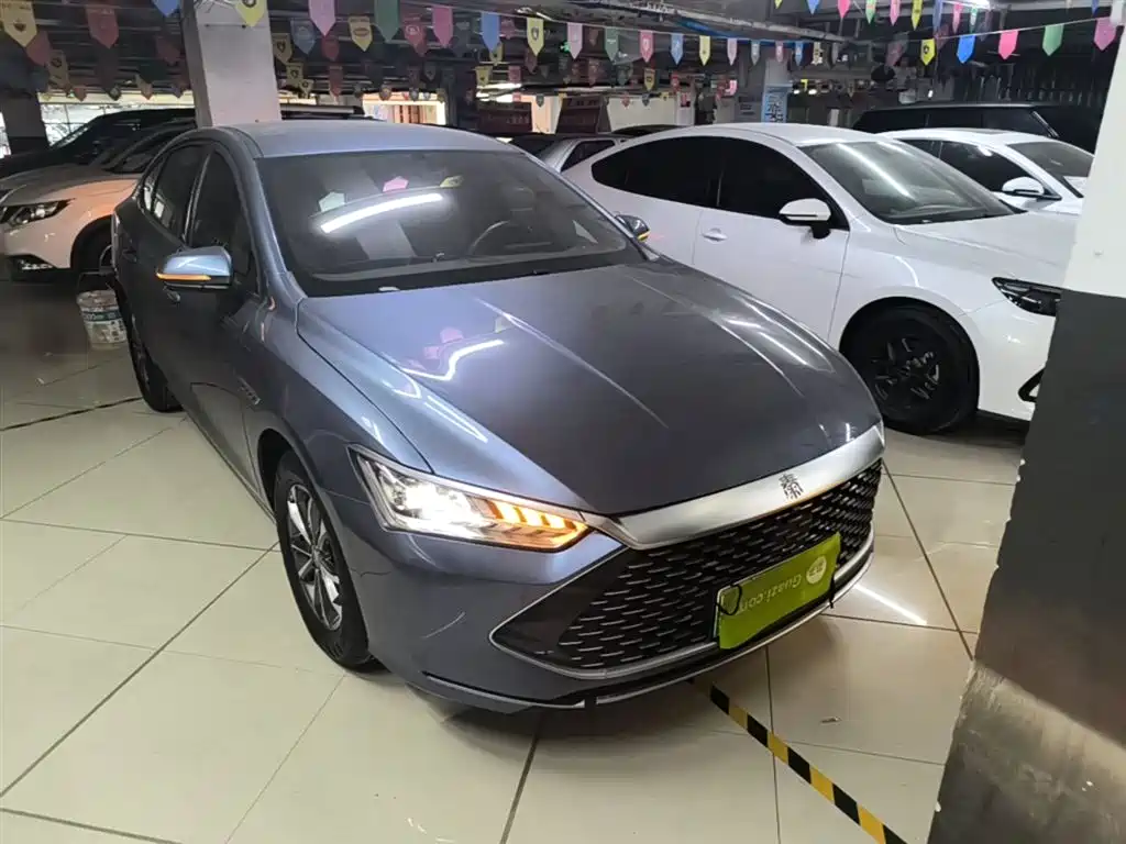 BYD Qin PLUS 2024 Glory Edition DM-i 55KM Leading фото 4