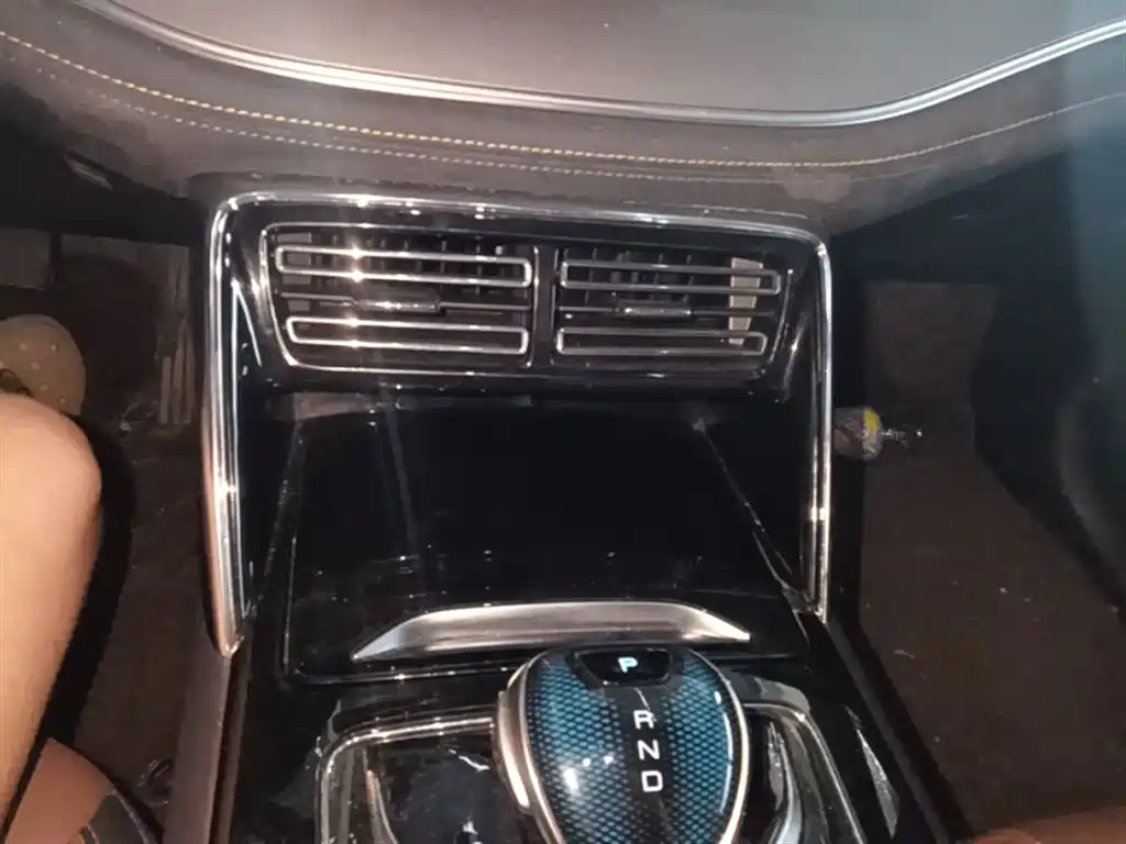 BYD Tang New Energy 2021 DM-i 112KM Premium фото 14