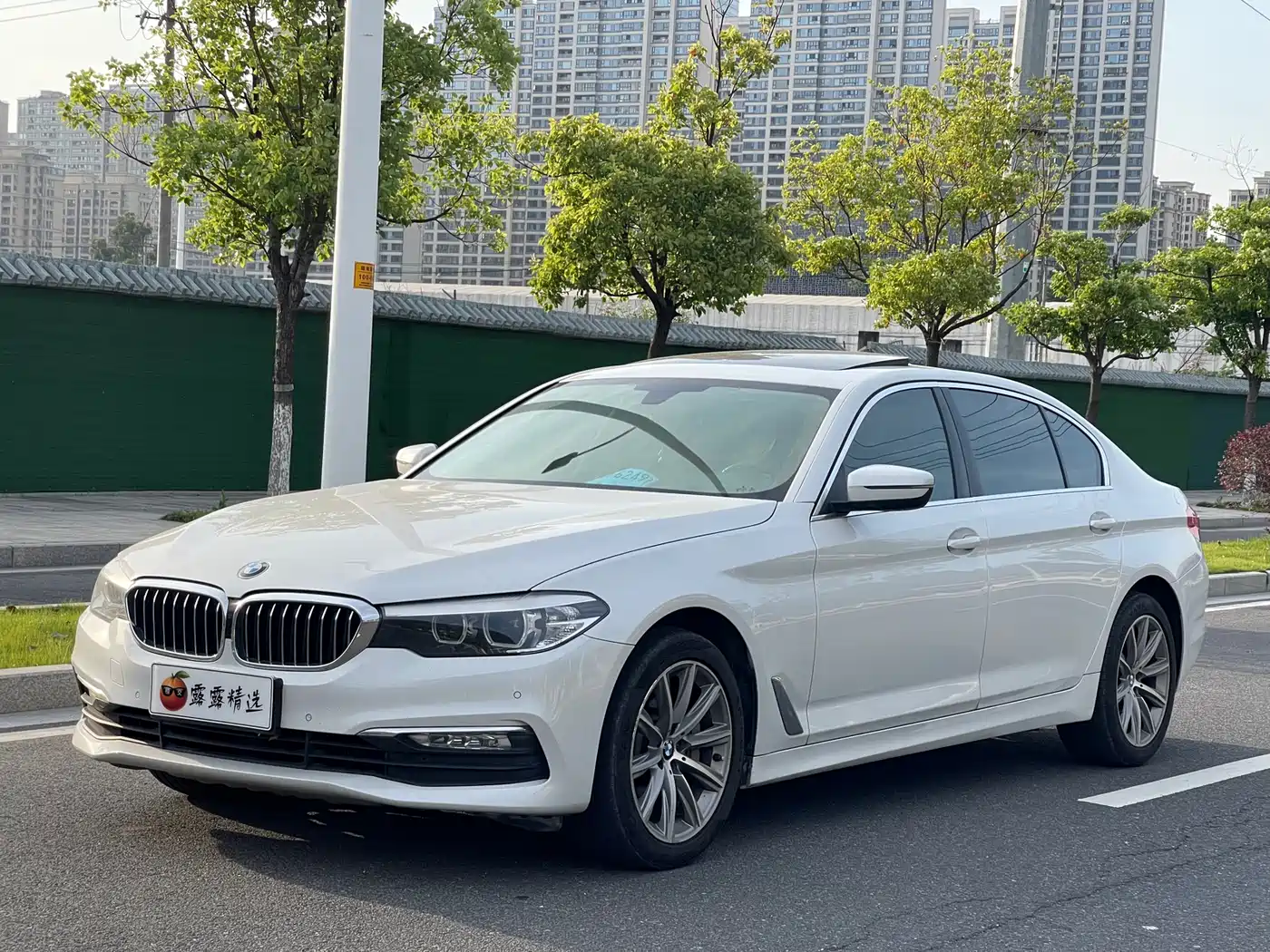BMW 5 Series 2018 528Li Launch Special Edition фото 3