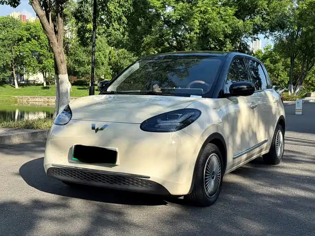  Wuling Motors Wuling Bingo 2025 Model 333km Smart Connect
