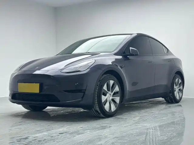 Tesla Model Y Задний привод