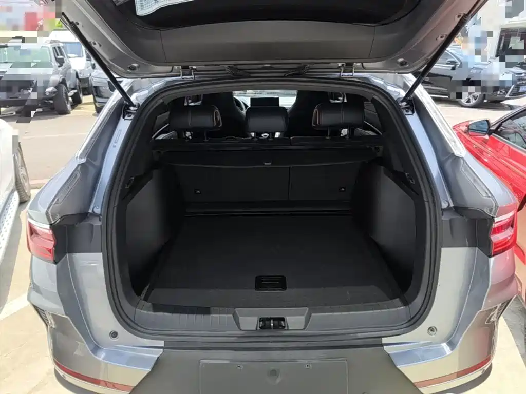 BYD Song PLUS PHEV 2021 EV Premium Model фото 15