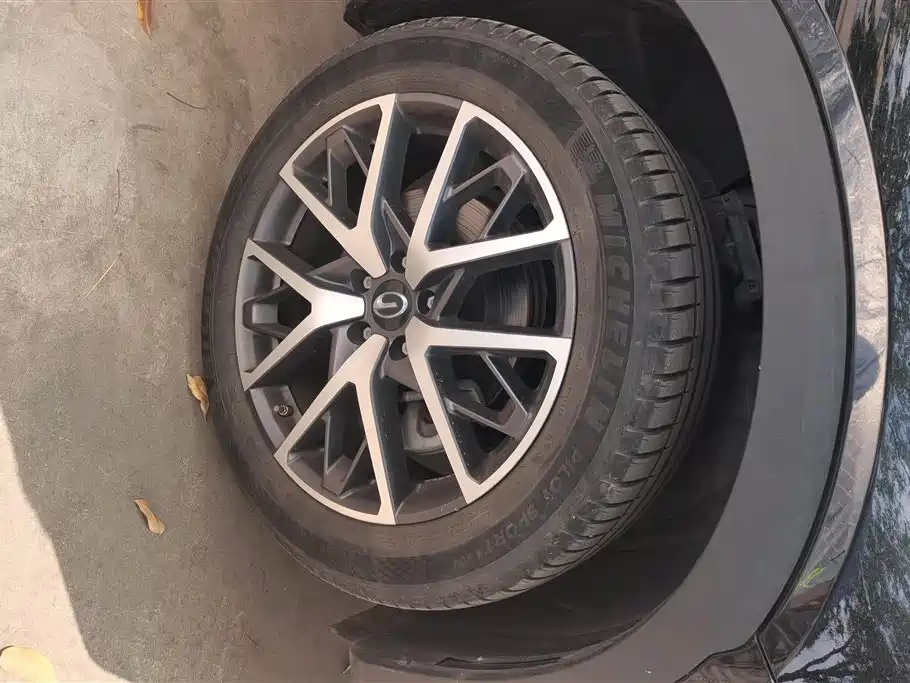GAC Trumpchi Trumpchi GS8 2022 Pilot Series 2.0TGDI 4WD Luxury Smart Connect Edition (7-Seater) фото 6