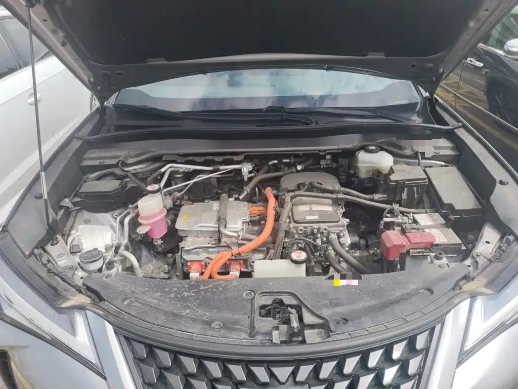 Lexus UX Electric 2021 2020 300e Pure Yue Edition