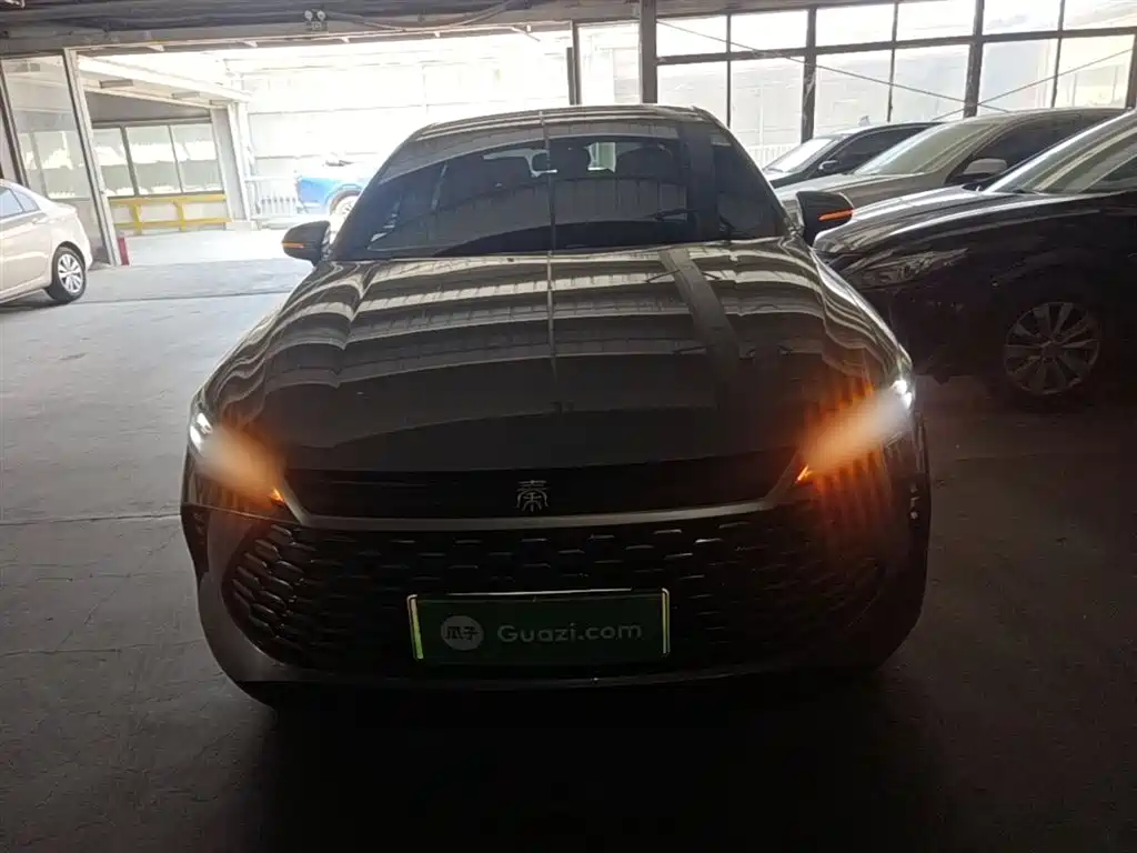 BYD Qin PLUS 2025 DM-i Smart Drive 55KM Leader фото 3