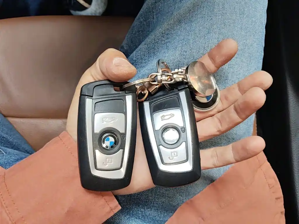 BMW 3 Series 2014 320Li Luxury Design Package фото 12