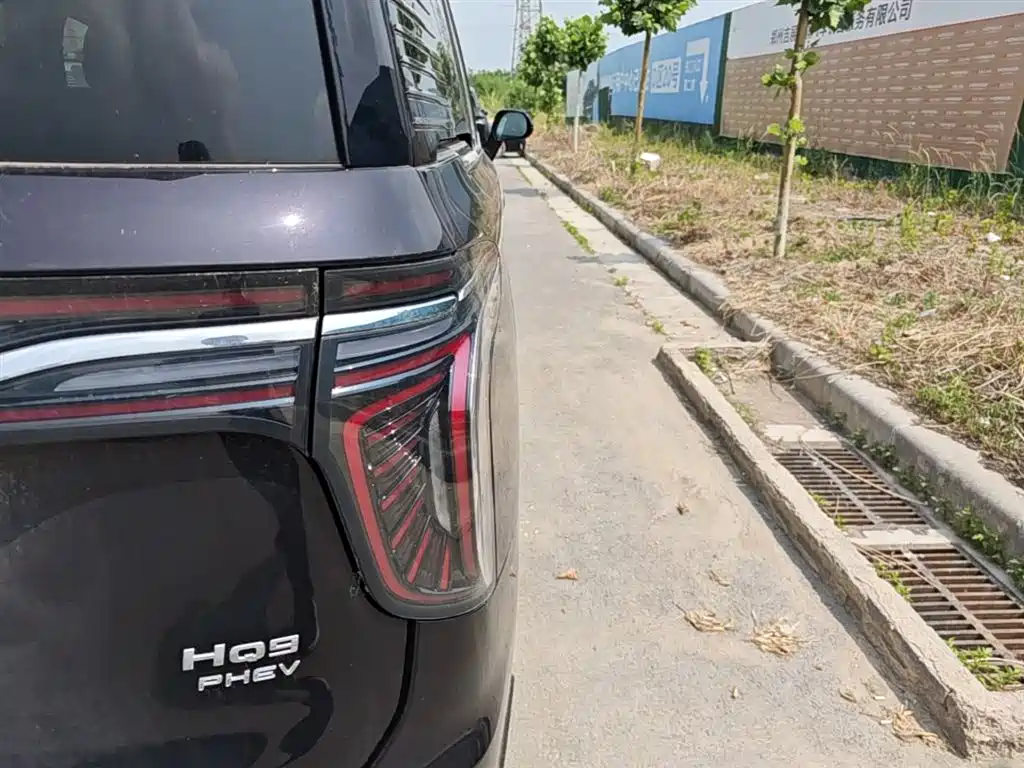 Hongqi HQ9 PHEV 2024 Model 2.0T AWD Business Edition фото 8