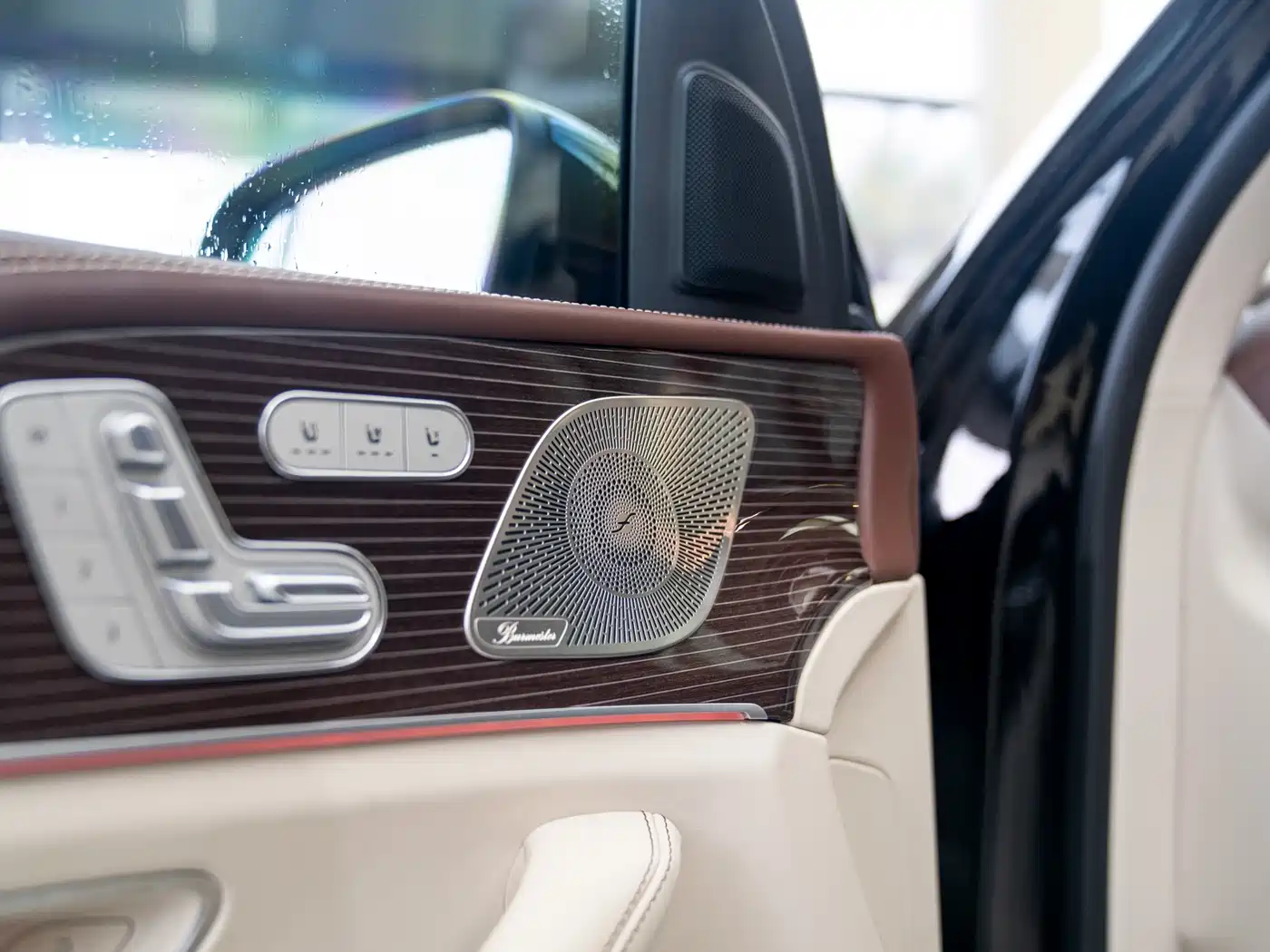 Mercedes-Benz Maybach GLS 2021 GLS 600 4MATIC Ritual Edition фото 15