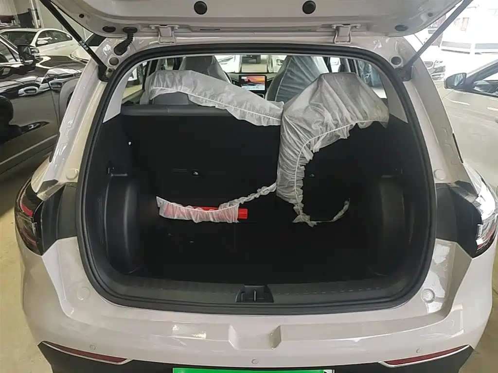 Geely Galaxy Starry Wish 2026 Edition 310km Youth Version фото 19