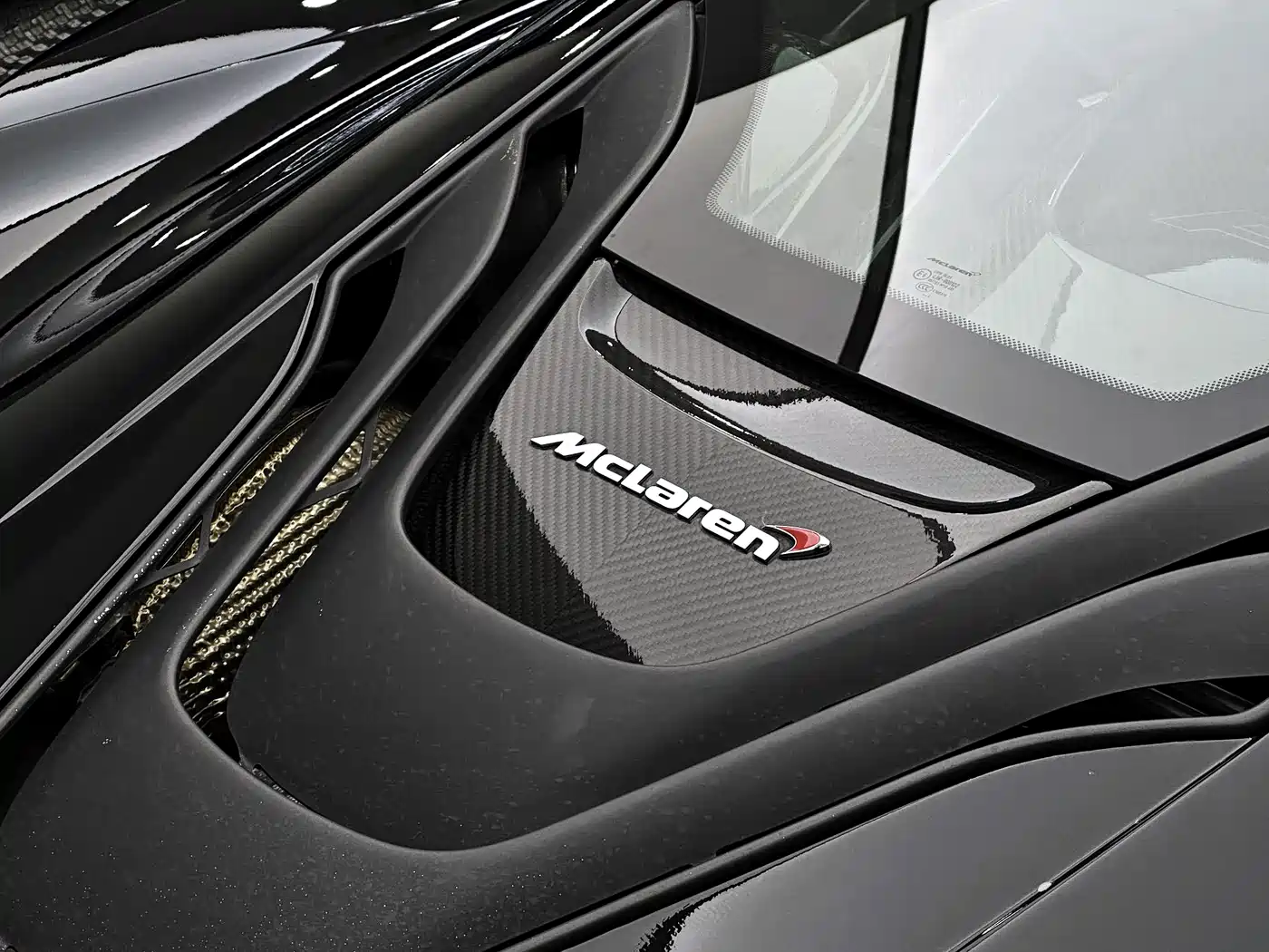McLaren P1 2018 2014 3.8T Standard