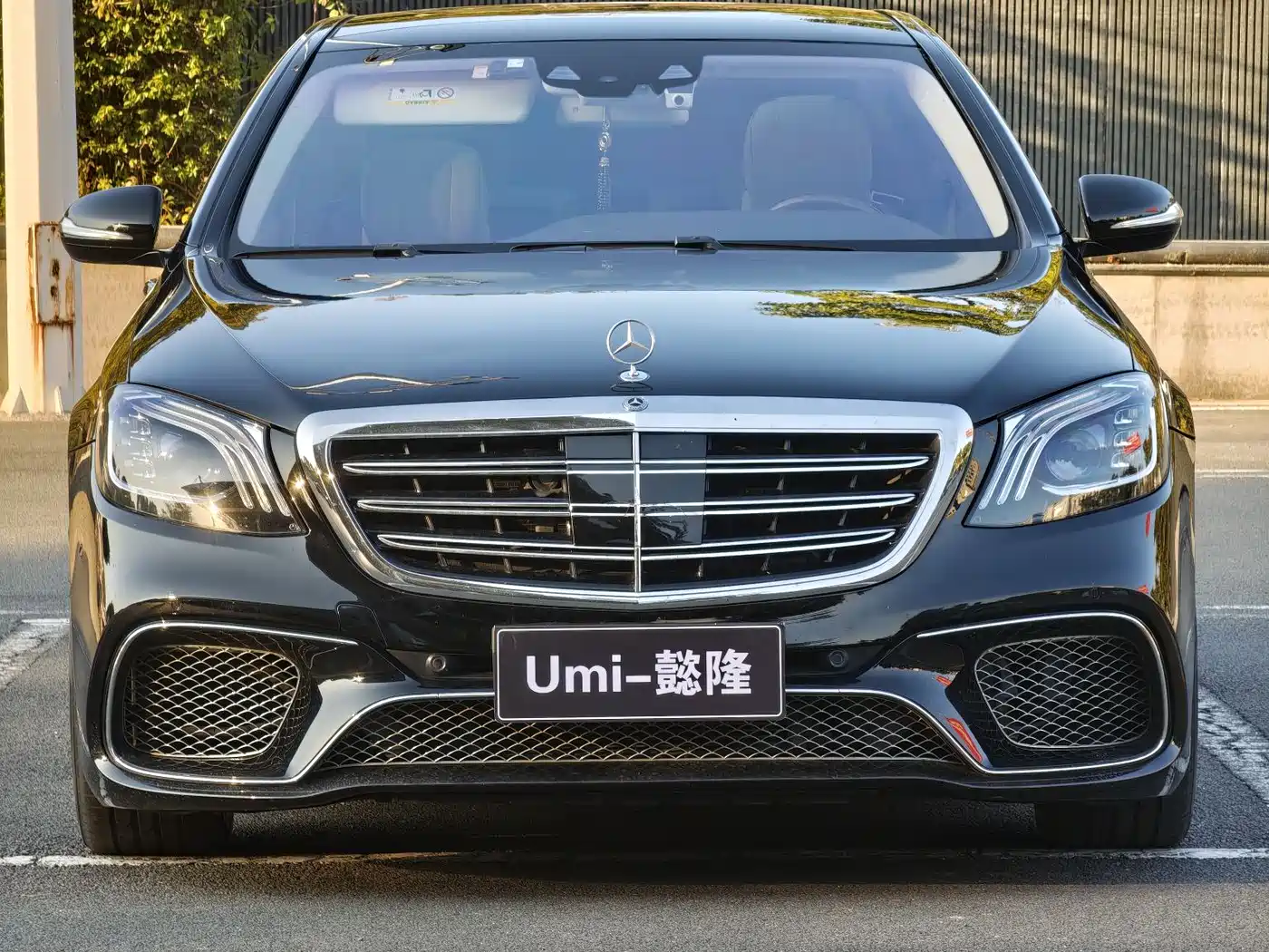 Mercedes-Benz S-Class 2014 S 500 L фото 2