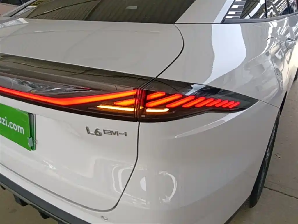Geely Galaxy Galaxy L6 2025 EM-i 140km Voyage Edition фото 8