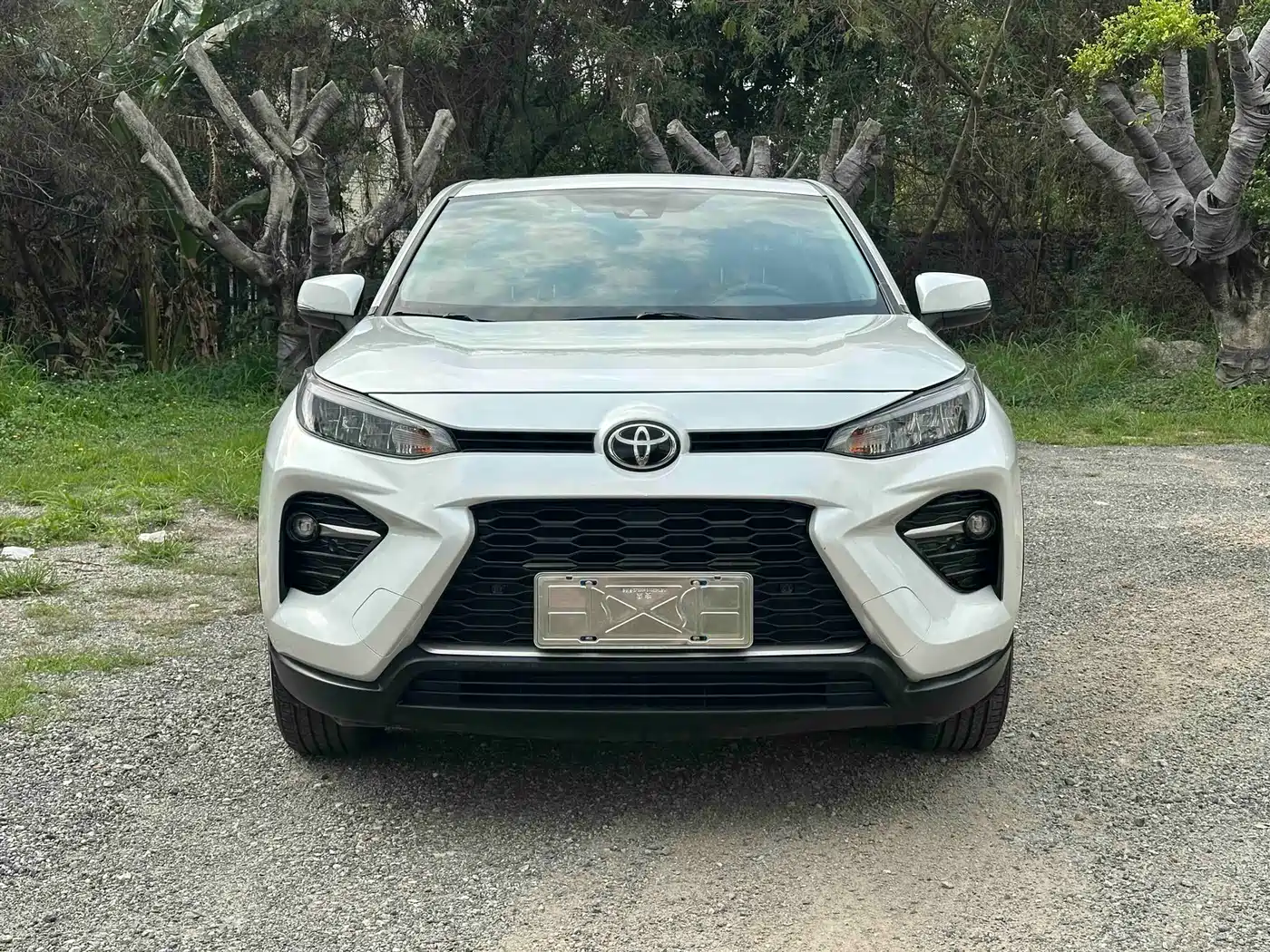 Toyota Wildlander 2021 2.0L CVT 2WD Luxury Edition фото 2