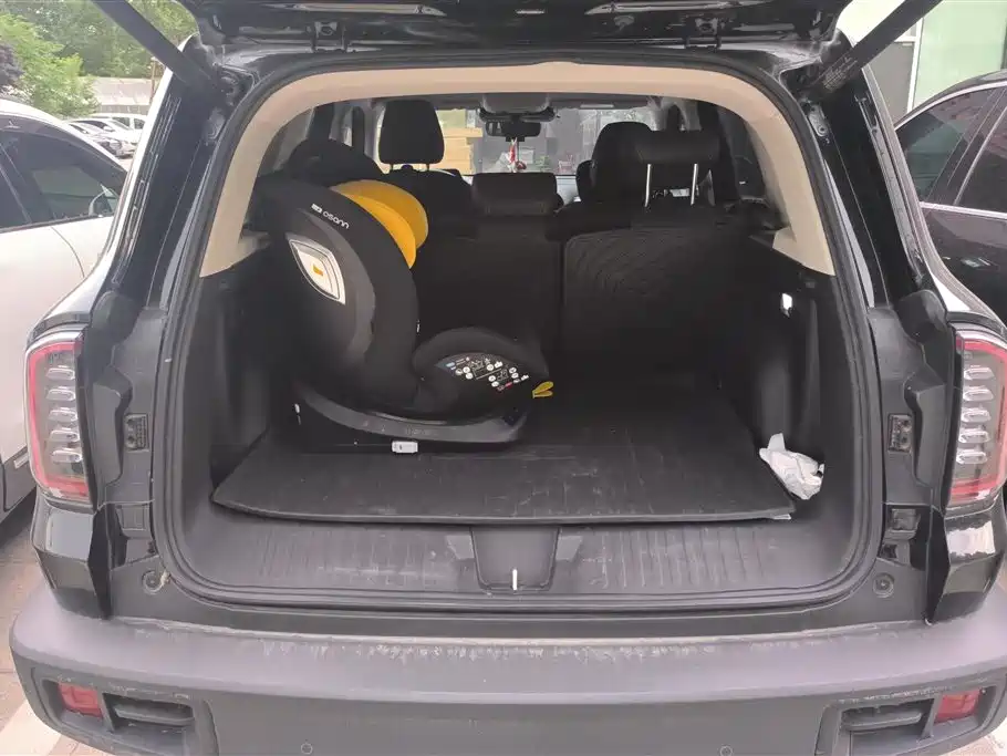 Haval Big Dog 2024 1.5T DCT Border Collie Edition фото 4