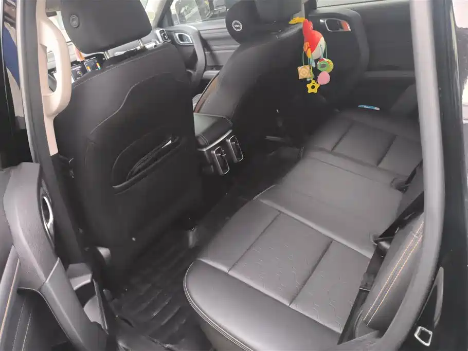 Haval Big Dog 2024 1.5T DCT Border Collie Edition фото 11