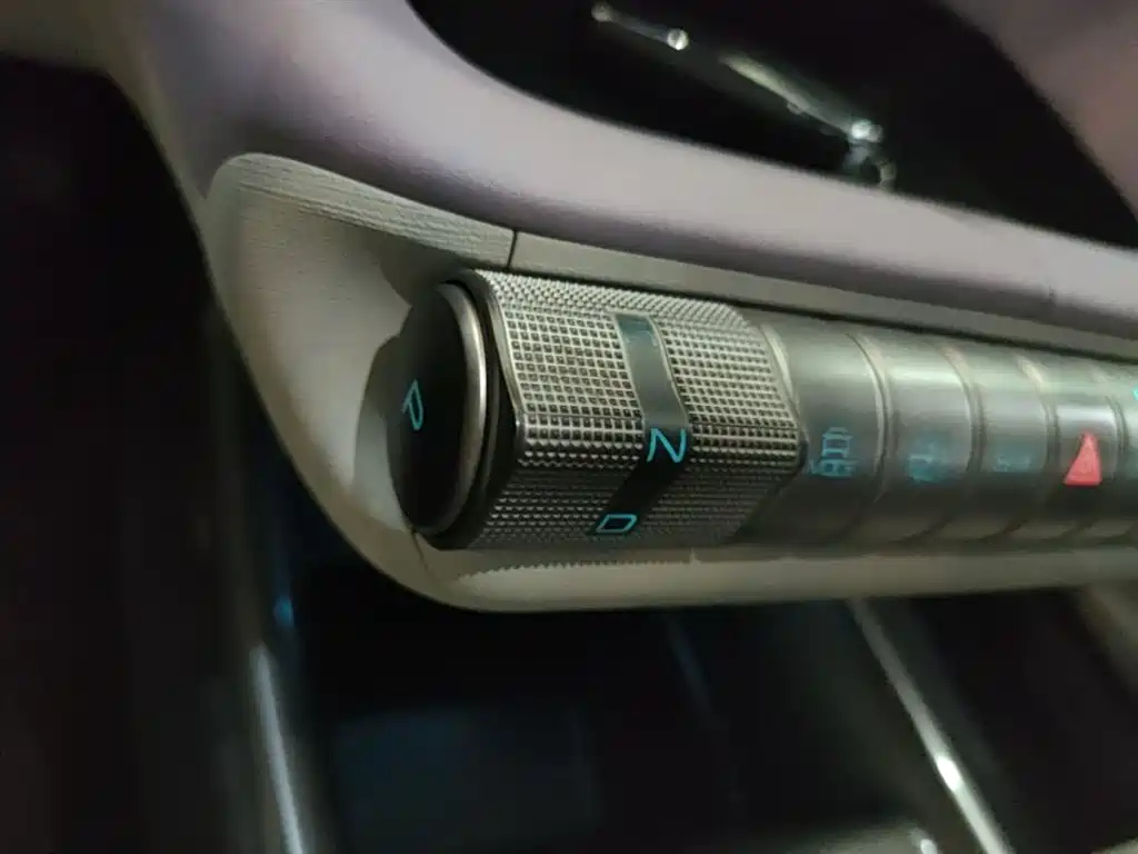 BYD Dolphin 2021 401km Knight Edition фото 14