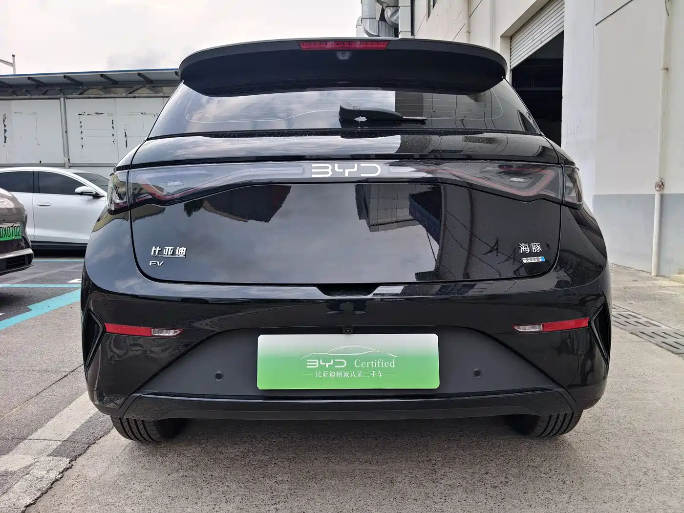 BYD Dolphin 2025 Smart Drive Edition 410km Fashion Version фото 5