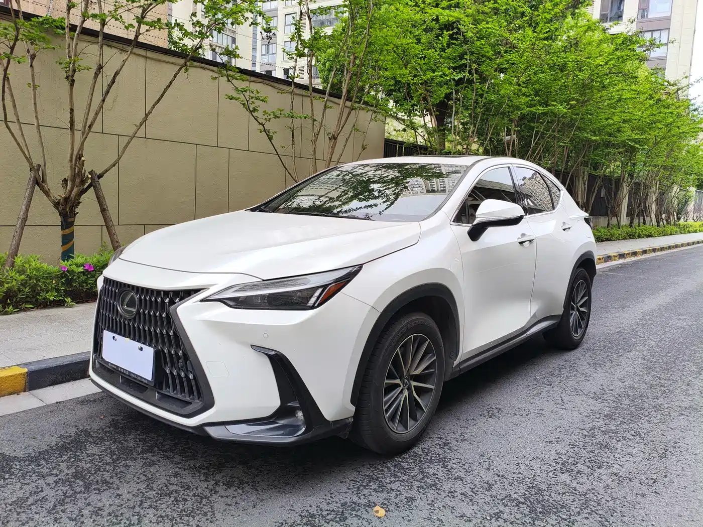 LEXUS NX