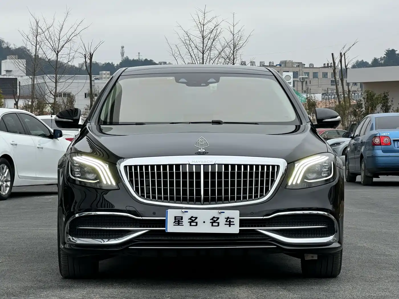 Mercedes-Benz Maybach S-Class 2020 S 450 4MATIC Collector's Edition фото 2